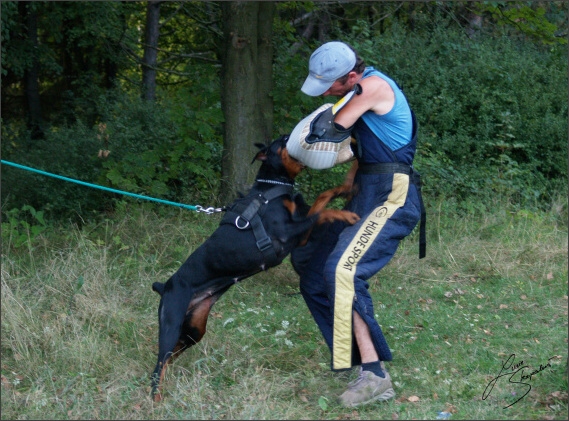 Summer training camp - Jelenec - 2007